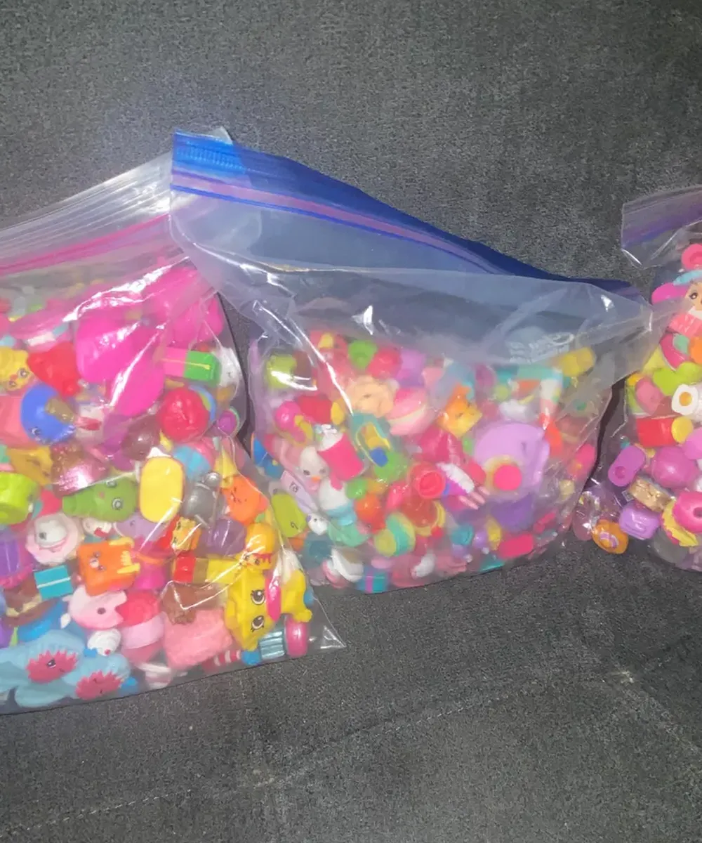 il_794xN.6721347362_pyks Shopkins Toy Bundle (60 pcs) - Image 1